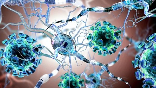AAV基因疗法领域新进展 多种罕见病已进入病毒载体疗法临床试验