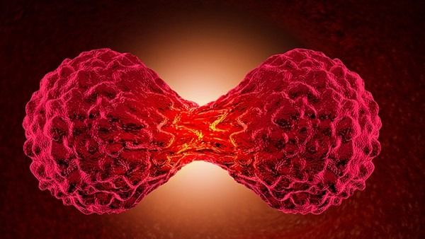 默沙东宣布：K药治疗前列腺癌和非小细胞肺癌研究失败