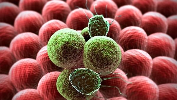 四川大学华西医院揭秘新型增强型mRNA疫苗 可抗癌和传染病