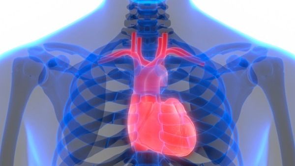 司美格鲁肽3期试验结果公布，降低心脏病、中风发作风险达20%
