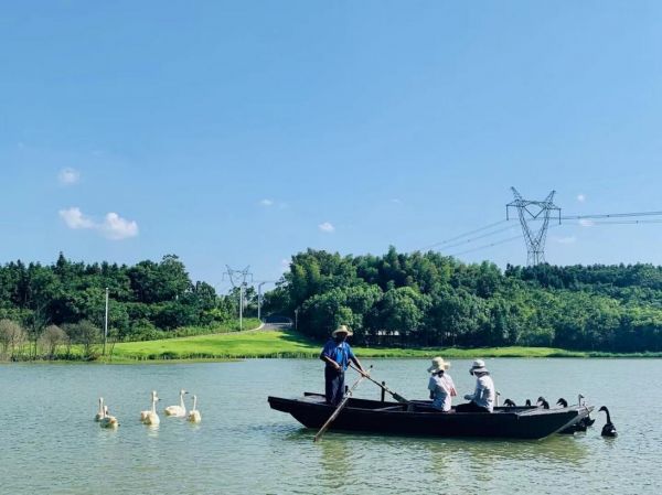 在仙鹤湖，可以尽情亲近自然和各类禽鸟