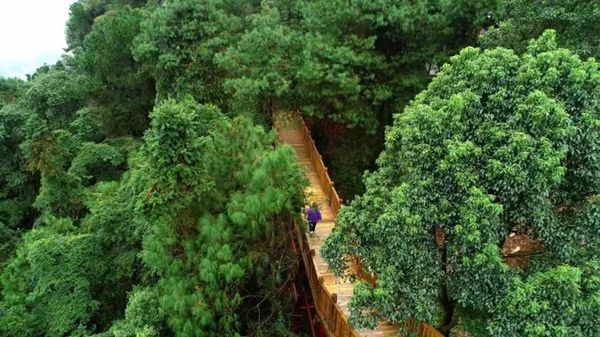 玉峰山健身步道。渝北区文化旅游委供图