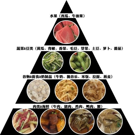 第二周饮食结构图