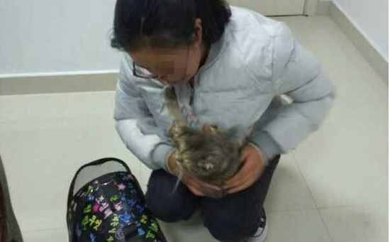 女大学生把猫藏肚子扮孕妇做火车 过安检时猫叫了