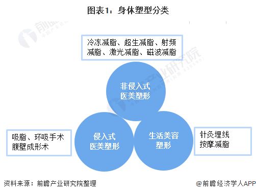 图表1：身体塑型分类