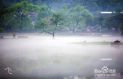 伴漓解答旅游对身体的身心健康，旅游好处和必要