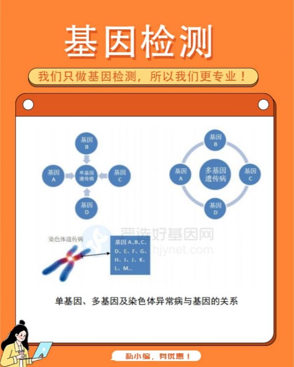 什么是基因检测需要哪些程序多少钱