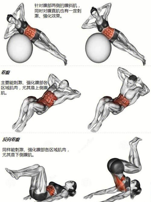 腹部肌肉锻炼方法图解