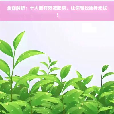 全面解析：十大最有效减肥茶，让你轻松瘦身无忧！