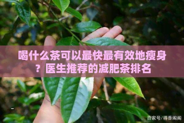 喝什么茶可以最快最有效地瘦身？医生推荐的减肥茶排名