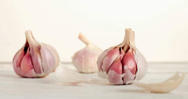 dientes de ajo con menos de 10 calorías