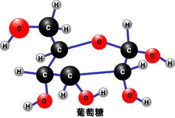 碳水化合物对人的作用