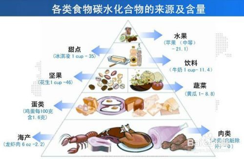碳水化合物对人的作用