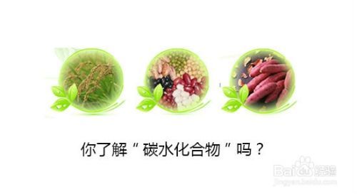 碳水化合物对人的作用
