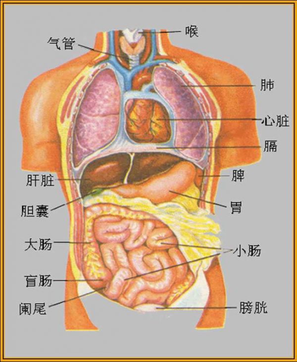 太重要了！请你一定要看！ - 李木子 - 李木子