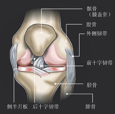 跑步机伤膝盖吗