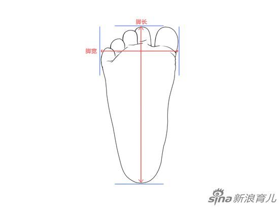 测量示意图