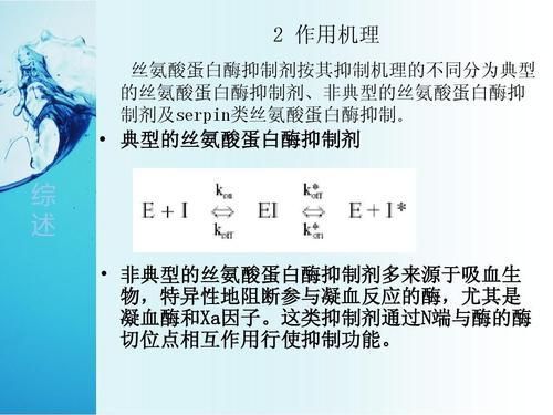 最新研究：阻断这种消化酶可能改善代谢健康，稳定血糖。