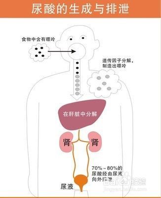 合理饮食、适当运动、戒烟戒酒、心理健康