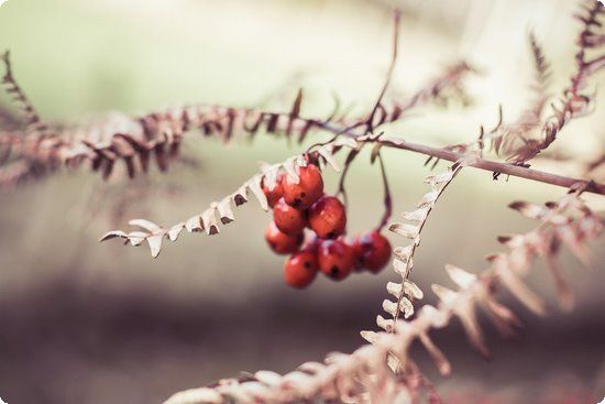 這類胎教對(duì)于寶寶益處多卻少有人做，孕媽別疏忽