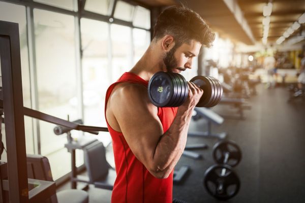 entrenamiento de fuerza