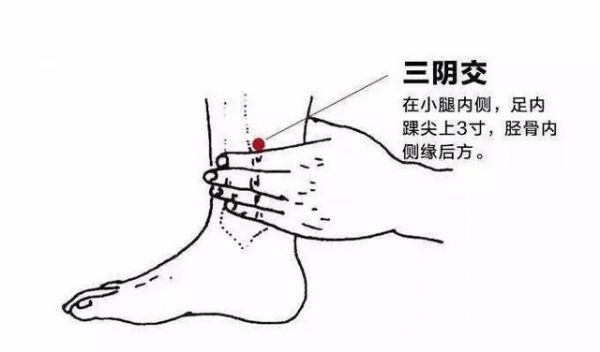 处暑=出暑？别太天真了！你的身体将要经受这几大考验！