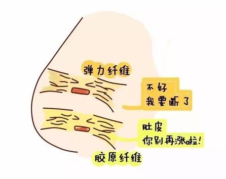 点击查看高清原图