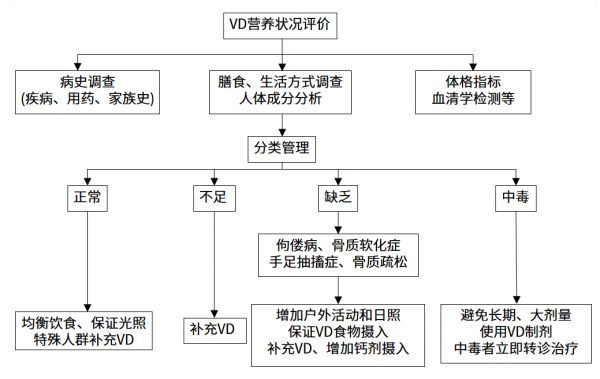 维生素D营养状况人群筛查的实施流程