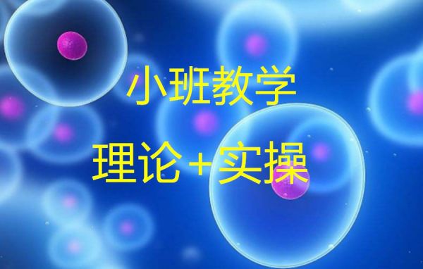 国内十大普拉提教练培训机构汇集