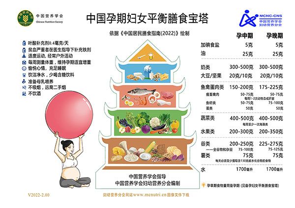 02-孕期妇女平衡膳食宝塔(v2022-2.01)-低分辨率-600像素宽度-适合网站用图.jpg