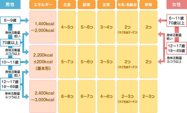 理想的な食事の種類と量の目安（1日分）