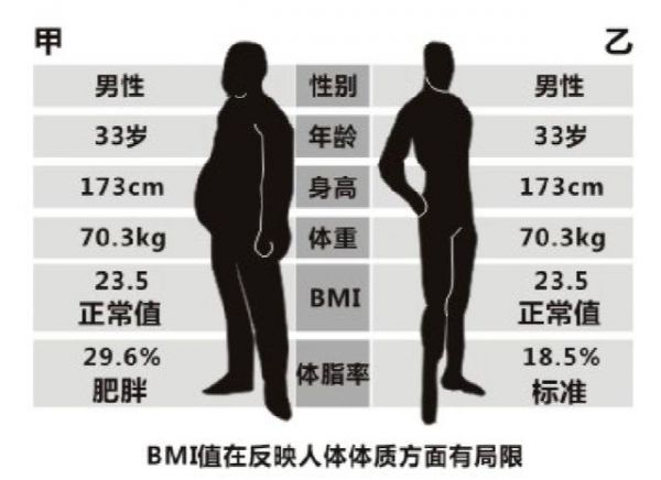 人体成分/体脂称相关体态指标意义解读