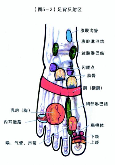 足部保健与健康