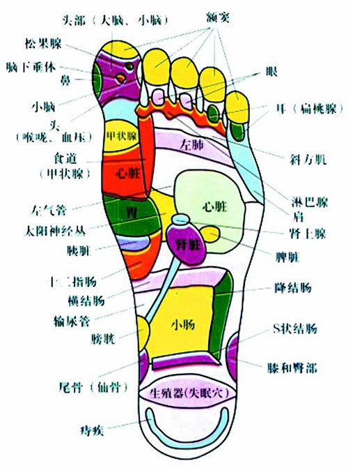 足部保健与健康