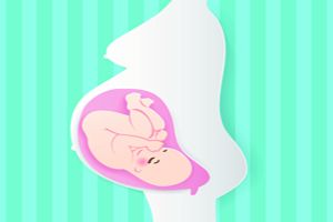孕婦枕買哪種好