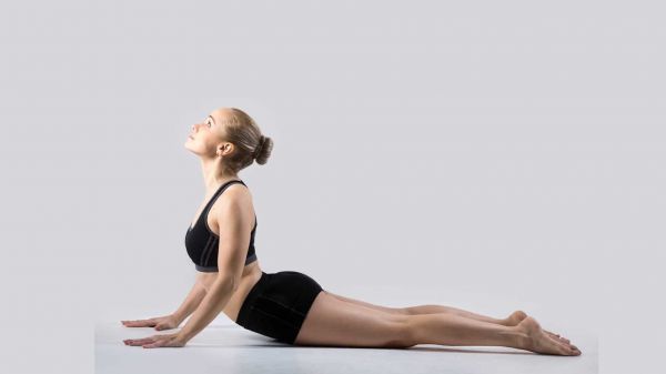 眼镜蛇式 Bhujangasana