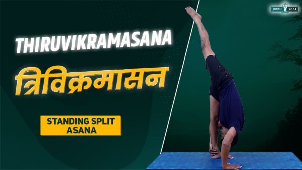 thiruvikramasana 站立劈腿姿势