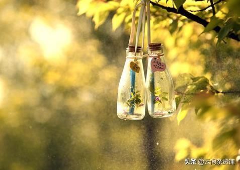 《你的時間有限，不要為別人而活》：圓夢計劃=目標(biāo)+方法+行動