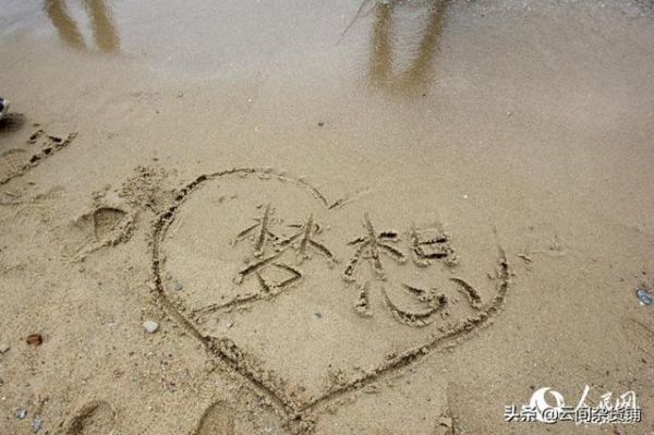 《你的時間有限，不要為別人而活》：圓夢計劃=目標(biāo)+方法+行動
