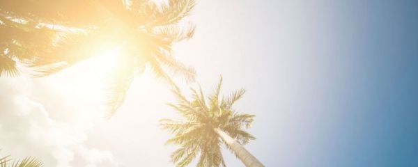 中老年人夏季如何保养 中老人夏季保养禁忌 中老年人夏季保养注意事项