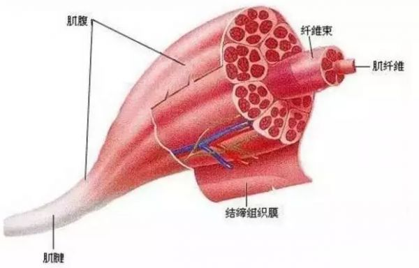 春雨医生