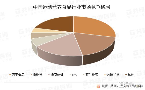 中国运动营养食品行业市场竞争格局