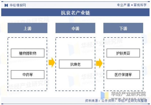 抗衰老产业链