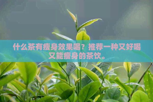 什么茶有瘦身效果喝？推荐一种又好喝又能瘦身的茶饮。