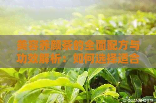 美容养颜茶的全面配方与功效解析：如何选择适合你的茶并更大化效果
