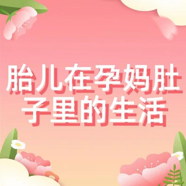 胎儿在孕妈肚子里的生活