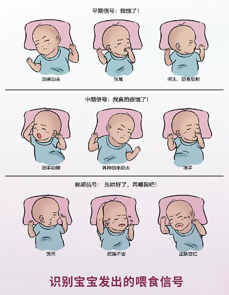 母乳喂養(yǎng)