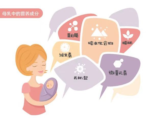 母乳喂養(yǎng)