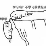 青皮桔