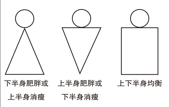 人体成分分析仪